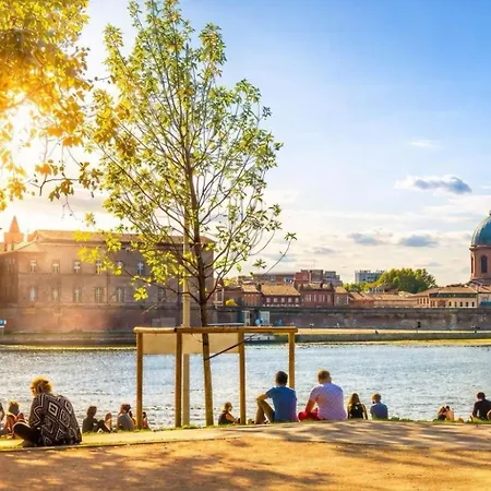 Charmant T3 Au Coeur De La Ville Terrasse Metro Toulouse