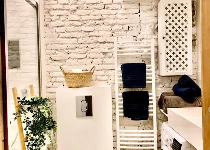 Appartement Charmant T3 Au Coeur De La Ville Terrasse Metro Toulouse